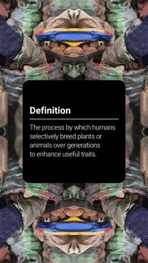 Word of the Week: Domestication - How humans shaped the food we eat