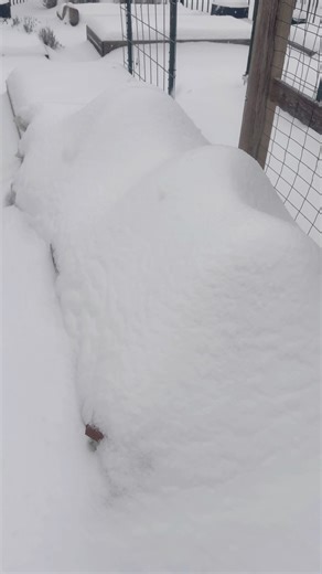 Who Says You Can’t Garden During Winter? ❄️🌱