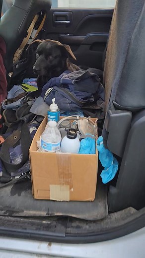 Work flow. Monasmith Home & Termite Inspection 316 Ca & AZ | Chuck Monasmith