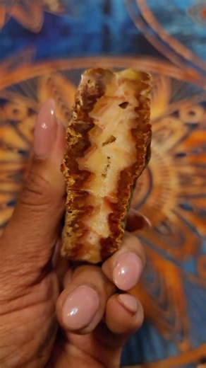 Carnelian | Specimen | Rock & Mineral Collectors