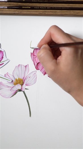 Our latest Cosmos flower TUTORIAL is on my Patreon, just click the link in my BIO or comment LINK and I will send you the info. Also a little reminder that Halloween SALE on brushes and prints ends tonight ( 31st oct) ( click the link in my bio) . #watercolor #watercolourpainting | Egle Kolev Art