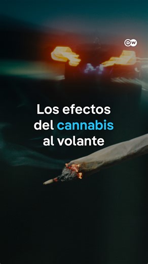DW Español on Instagram: "En algunos países el consumo de cannabis no está penado. Sin embargo, está prohibido manejar bajo los efectos de la marihuana o el hachís. En DW hicimos el experimento en un simulador y estos fueron los resultados. #dwmagacines #dwrev #automovil #manejar #cannabis #efectos #experimento"