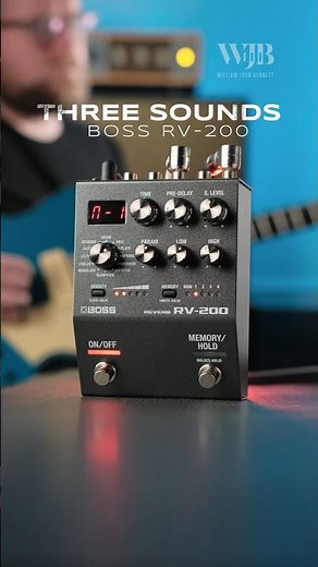 Three Sounds: Boss RV-200 Reverb