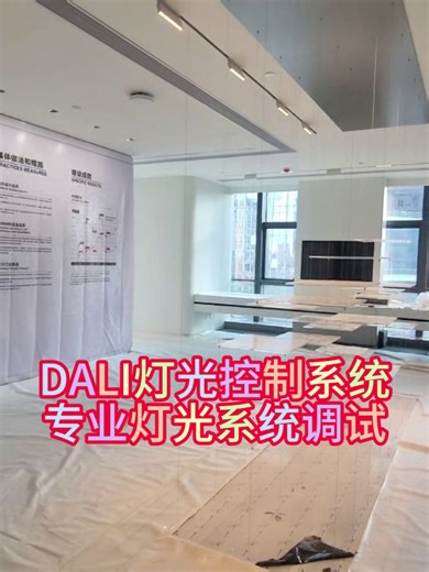 专业DALI灯光调试，现场灯光调试，DALI灯光控制系统,专业的调试技术人员，多年的灯光调试经验，能精准解决调试中出现的各种问题，快速调试出客户要求的灯光效果并