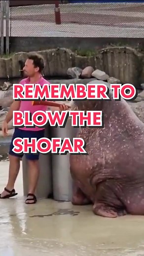 Elul Shofar Blowing Tradition: Prepare for Rosh Hashana