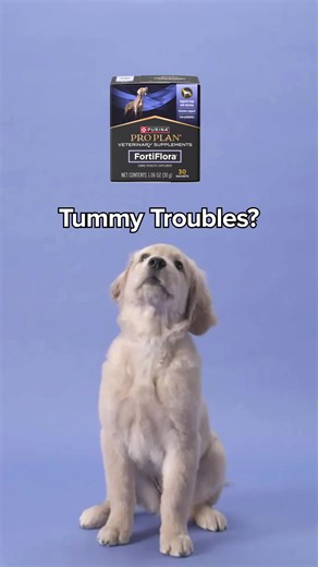 proplanvetsupplements on TikTok