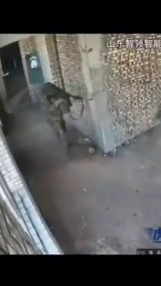 Man's new best friend doesn't need treats, just a full magazine.