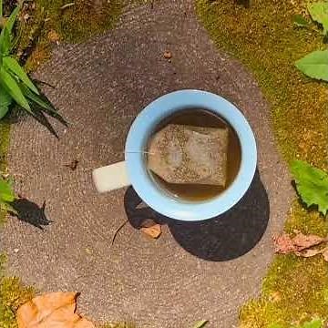 emily grace- tea & trees (official audio)