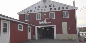 Manager at Young’s Lobster Pound in Belfast fundraises for family and friends in Jamaica