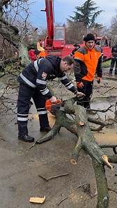 Husqvarna T525 Power 😀 | TSL Company