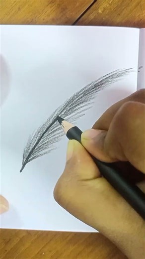 Feather drawing