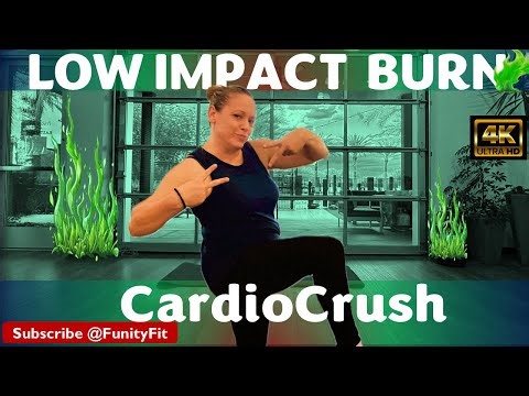 25-Min Full-Body Joint-Friendly Low-Impact Standing Cardio | CardioCrush by FunityFit