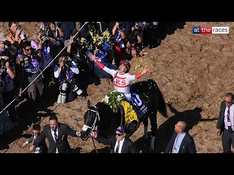 Easy as you like! | BENTORNATO shines in the Breeders' Cup Sprint