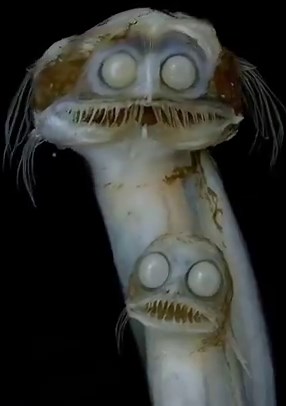 Growing Up, #Seafood Never Sat Right With Me.Something About It Felt... Wrong.Like The Ocean Is An #Underworld That Was Never Meant To Come Up Here."#TheMatrixology