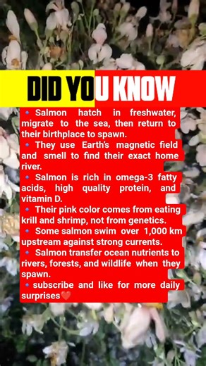 Nature’s most determined swimmer.