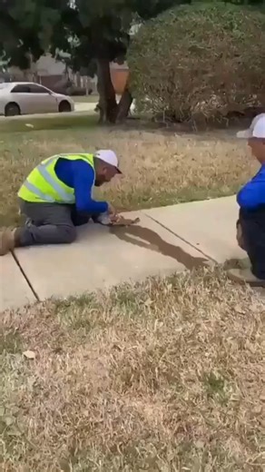 466K views · 3.6K reactions | Este verano, no lo olvides: lo que para ti es solo un poco de agua, para otros es sobrevivir.  La empatía, muchas veces, es todo lo que necesitan.  vía @roarwildlifenews | SIGNUS Ecovalor | Facebook