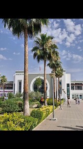 Over 6 hour train ride, Festival to Marrakesh 🚅 | Artopia Mosaics
