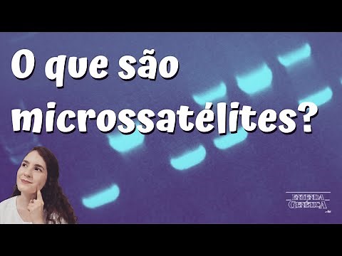 Saiba quais são as características dos microssatélites