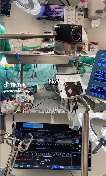 Ben David (@bendavid564)’s videos with original sound - Ben David