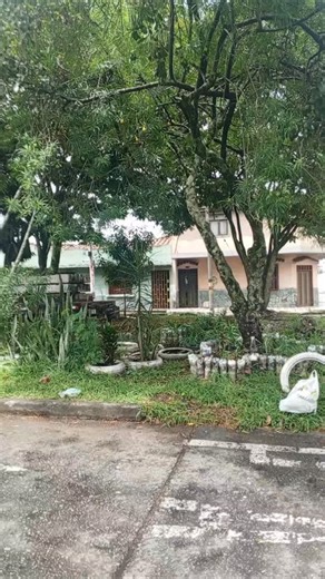 Pruebas del tren en Palmira...😀🚇 | Victor Stream