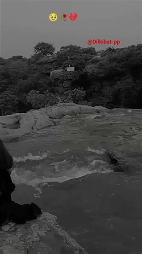 feeling sad shayari status ❤️