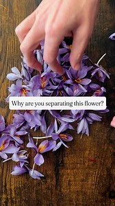 3.2K views · 53 reactions | What is Saffron?Saffron is the bright red...