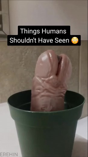 Things Humans Shouldn't Have Seen 😳 #fyp #screammovie #scary #creepy #mistery #horror #horrortok #foryou