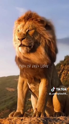 Indomable: La canción inspiradora de Jesús Adrián Romero