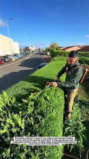 Insanely Satisfying Hedge Trimmer Cutting | Powerful Garden Tool for Perfect Hedges