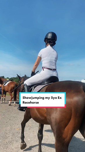 Showjumping on my Ex Racehorse #exracehorse #showjumping #bsja #equestrianlife
