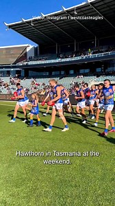 4.3K views · 32 reactions | A bad season has got even worse for West Coast, who are now dead last on the AFL ladder #afl #westcoasteagles | CODE Sports | Facebook