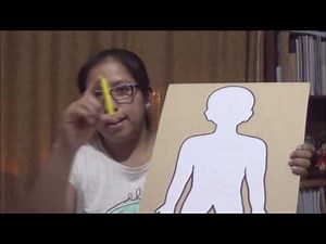 SISTEMA NERVIOSO MAQUETA