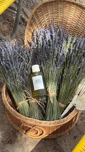 new Atelier des Fleur collection, the Mediterranean Essences by @Chloe @Nordstrom 🌊 #perfumetok #atelierdesfleurs