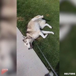 I said noooooooooo! | BuzzFeed Video