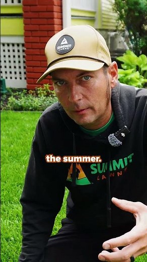 What Is the Best Summer Mowing Height?