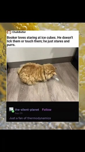 Aren't we all fans of thermodynamics? This is a pro thermodynamics page by the way | Bad Science Jokes