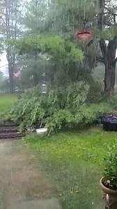 16M views · 23K reactions | Darlene Hoy sent us this storm video from State College. How's the weather where you are? Send us your pictures and videos here: https://wjactv.com/chimein | WJAC-TV News | Facebook