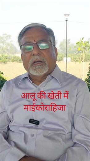 3.5K views · 61 reactions | How to use mycorrhiza in potato farming for best result? #biofertilizer #mycorrhiza #potato | Amazing Kisan | Facebook