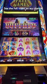NEW Buffalo slot machine free spin bonus for a huge win #casino #buffaloslotmachine #gambling