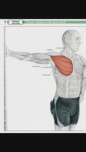 PECTORAL MUSCLES (CHEST ) STRETCHING (NO-1) Performing trunk rotations with a fixed arm primarily -Enhanced core stability -Improved rotational flexibility -Reduced risk of injury -Functional movement improvement -Posture correction #bpt #gpt #dpt #pt #muscle #musclerecovery #pectoralis #pectoralismajor #stretching #stretch #stretchingexercises #manipulation #adduction #rotation #myofascialrelease #trainer #fascialrelease #personaltrainer #therapist #massage #physicaltherapylife #physicaltherapy