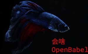 会啥_openbabel_2_2_编译选项细节
