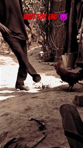 Duniya ka Sabse Khatarnak Murga! 🐓🔥#khatarnakmurga