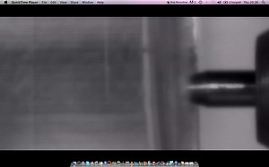 File:A-Novel-Mouse-Model-of-Penetrating-Brain-Injury-Video 1.ogv - Wikimedia Commons