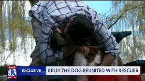 Kelly the Dog reunited with rescuer