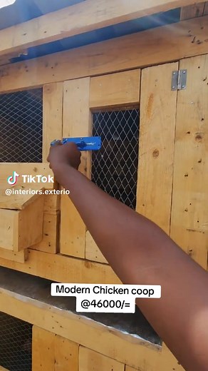 Modern Chicken Coop Available at Affordable Prices