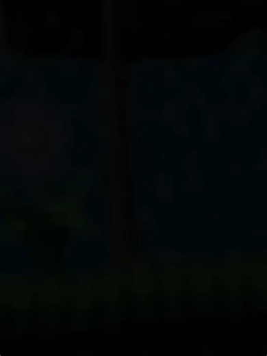 Sonic the Hedgehog Supersonic Transformation Scene