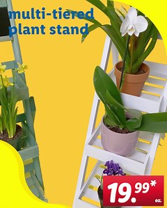 It’s ok to show off sometimes, especially when you’re gifted with a green thumb. We like to show off, too (did you know we sell high-quality, low-priced products?). Put your thriving plants on full display with this very affordable stand. Follow the link for more. https://bddy.me/3r2Hybl 🌸 | Lidl US