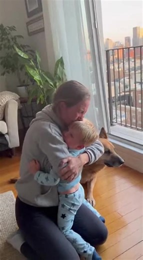 “The dog didn’t bark. It bit his shirt.” That was the sound the mother heard when she ran into the living room. The apartment froze. An open balcony door. A chair pushed too close to the railing. And a four-year-old boy standing where he should never have been. One leg lifted. One hand gripping the metal bar. Curious. Smiling. Unafraid. Behind him, the dog. A large German Shepherd mix, gray creeping into his muzzle, body stretched low, teeth clenched into the back of the child’s shirt. Not hard 