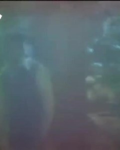 11K views · 188 reactions | 2111- old is Gold 鹿 #new #love #song #viral #post #music #video All credit goes to rightful owners none of the clip belongs to this page | Fans Of Mukesh | Facebook