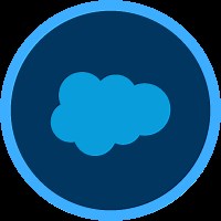 Optimize Salesforce CRM Capabilities